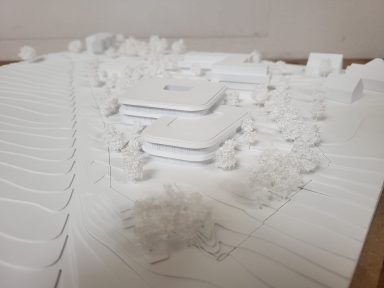 Modell mit weißen Miniaturbäumen