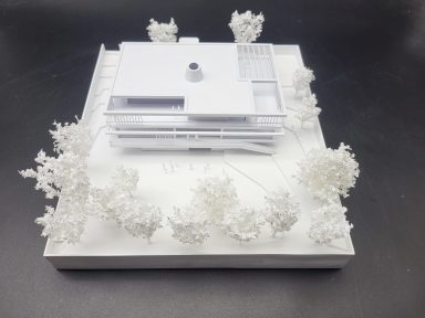 Ein weißes Architekturmodell im Maßstab 1:200 mit filigranen Modellbau Bäumen in weiß