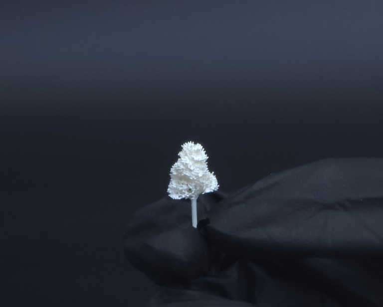 Ein kleines, detailreicher Baum auf einem schwarzen Hintergrund.
